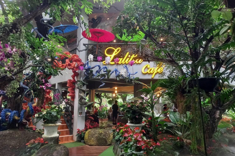 Lalita Cafe & Chiang Rai Temple(White+Blue) from Chiangmai lalita