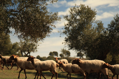 Granada: Tour in bicicletta della natura, della fauna selvatica e dei villaggi autentici