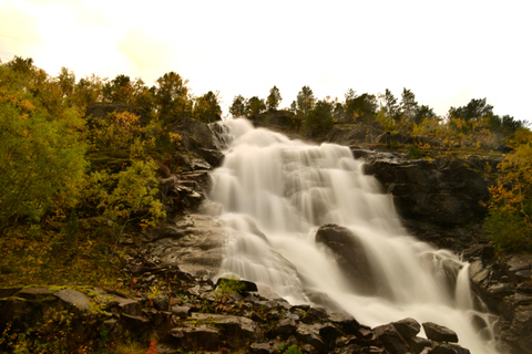 Abisko: Fjord Sightseeing and Photography Tour