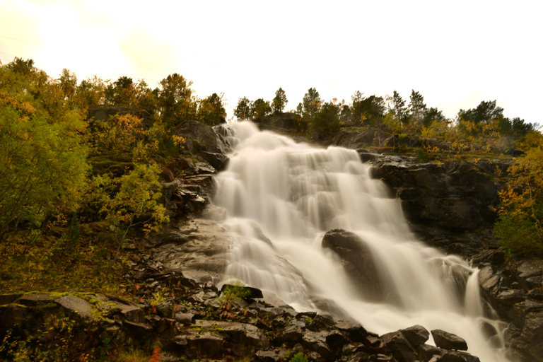 Abisko: Fjord Sightseeing and Photography Tour