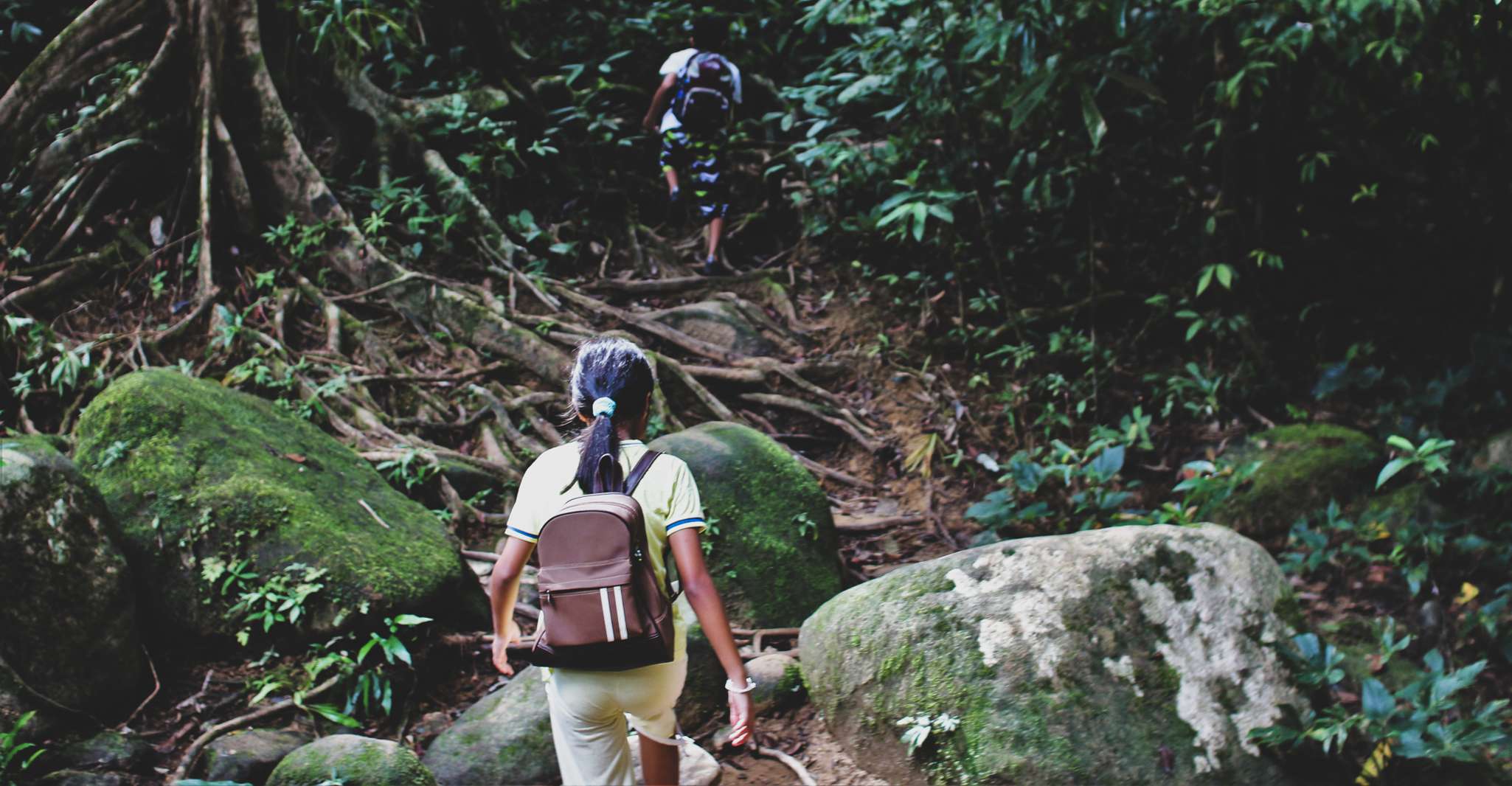 来自Khao Lak、Khao Sok Jungle Hike & River Tour - Hizvo