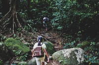 Von Khao Lak, Khao Sok Jungle Wanderung & Flusstour - Hizvo