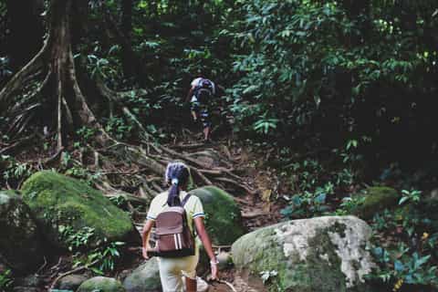 Khao Sok Jungle Hike and Canoe Tour