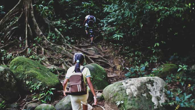 desde khao lak khao sok jungle hike and canoe tour
