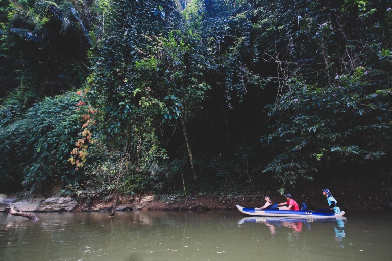 Excursión en canoa y caminata por la jungla de Khao SokDesde Khao Lak: excursión en canoa y caminata por la jungla de Khao Sok