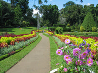 Kandy, Temples, Gardens & Cultural Show City Highlights Tour - Housity