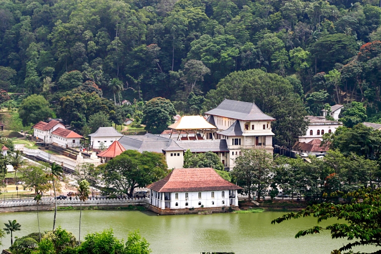 Kandy: Temples, Gardens & Cultural Show City Highlights Tour