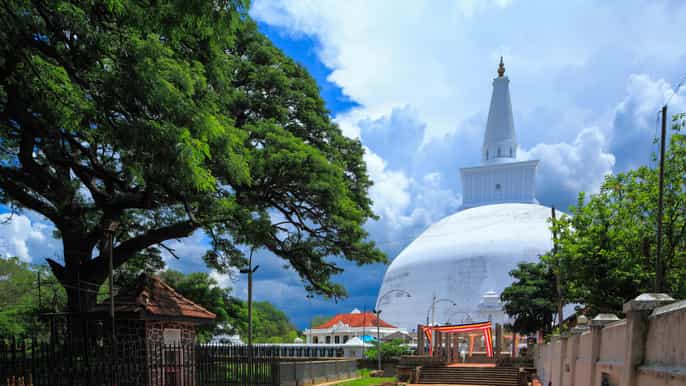 from dambulla sacred city of anuradhapura private day tour