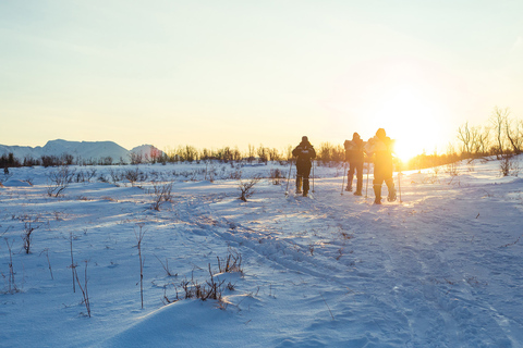 De Tromsø: Caminhada guiada com raquetes de neve e visita ao acampamento dos huskiesDe Tromsø: caminhada com raquetes de neve e visita ao acampamento Husky