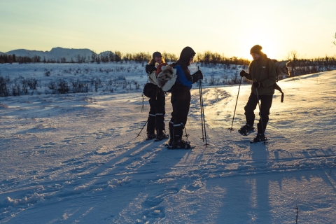 Z Tromsø: wycieczka piesza na rakietach śnieżnych i wizyta w obozie Husky