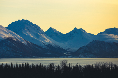 Desde Tromsø: excursión con raquetas de nieve y visita al campamento de huskies