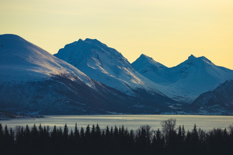 De Tromsø: randonnée en raquettes et visite du camp Husky