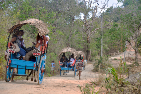 Från Dambulla: Sigiriya Rock, Village och Minneriya Tour