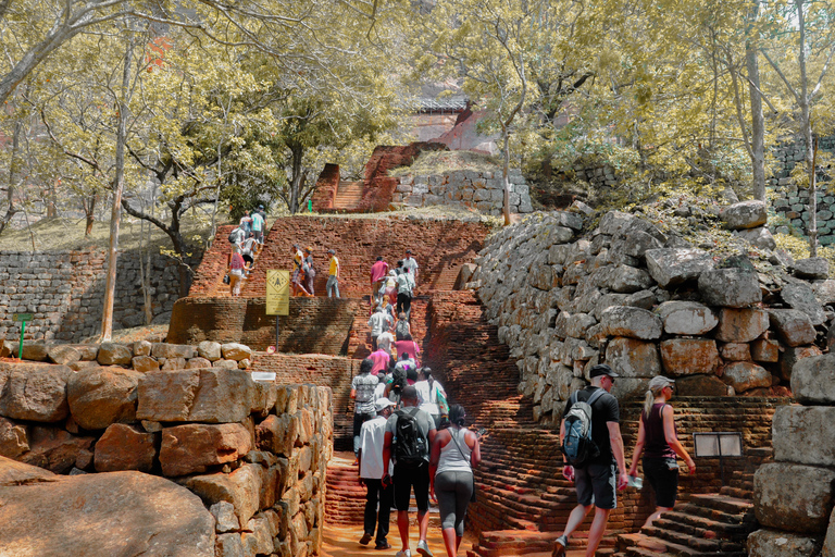 Från Dambulla: Sigiriya Rock, Village och Minneriya Tour