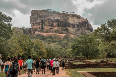 From Dambulla: Sigiriya Rock, Village, and Minneriya Tour
