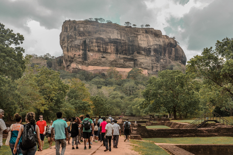 Depuis Dambulla : visite du rocher de Sigiriya, du village et de MinneriyaAu départ de Dambulla : visite du rocher de Sigiriya, du village et de Minneriya.