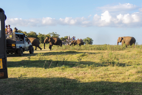 From Dambulla: Sigiriya Rock, Village, and Minneriya Tour