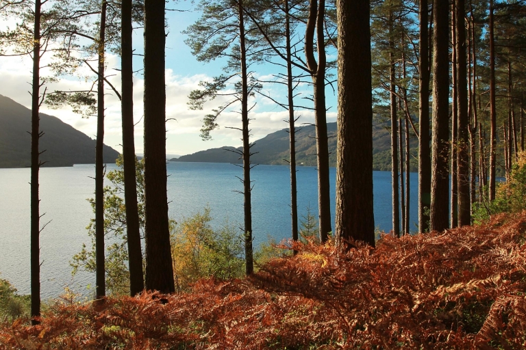 From Glasgow: Loch Lomond and Whisky Full-Day Tour From Glasgow: Loch Lomond, Cruise & Whisky Small-Group Tour