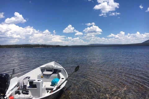 Yellowstone: Private Lewis Lake Fishing Trip From Jackson