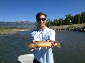 Jackson Hole: Fliegenfischen am Snake, Salt oder Green River Jackson Hole: Fliegenfischen am Snake, Salt oder Green River