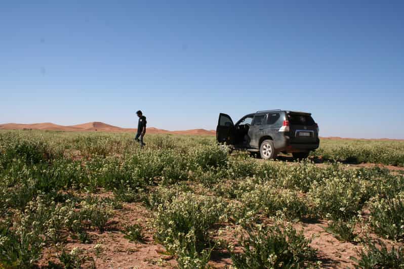 Au départ d'Agadir 4 jours 3 nuits Circuit Sahara à Marrakeche - bivouac