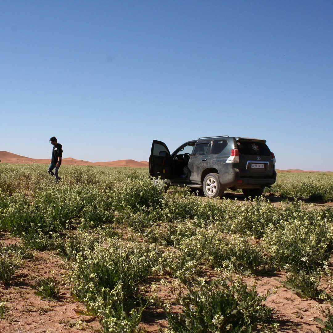 Au départ d'Agadir 4 jours 3 nuits Circuit Sahara à Marrakeche - bivouac
