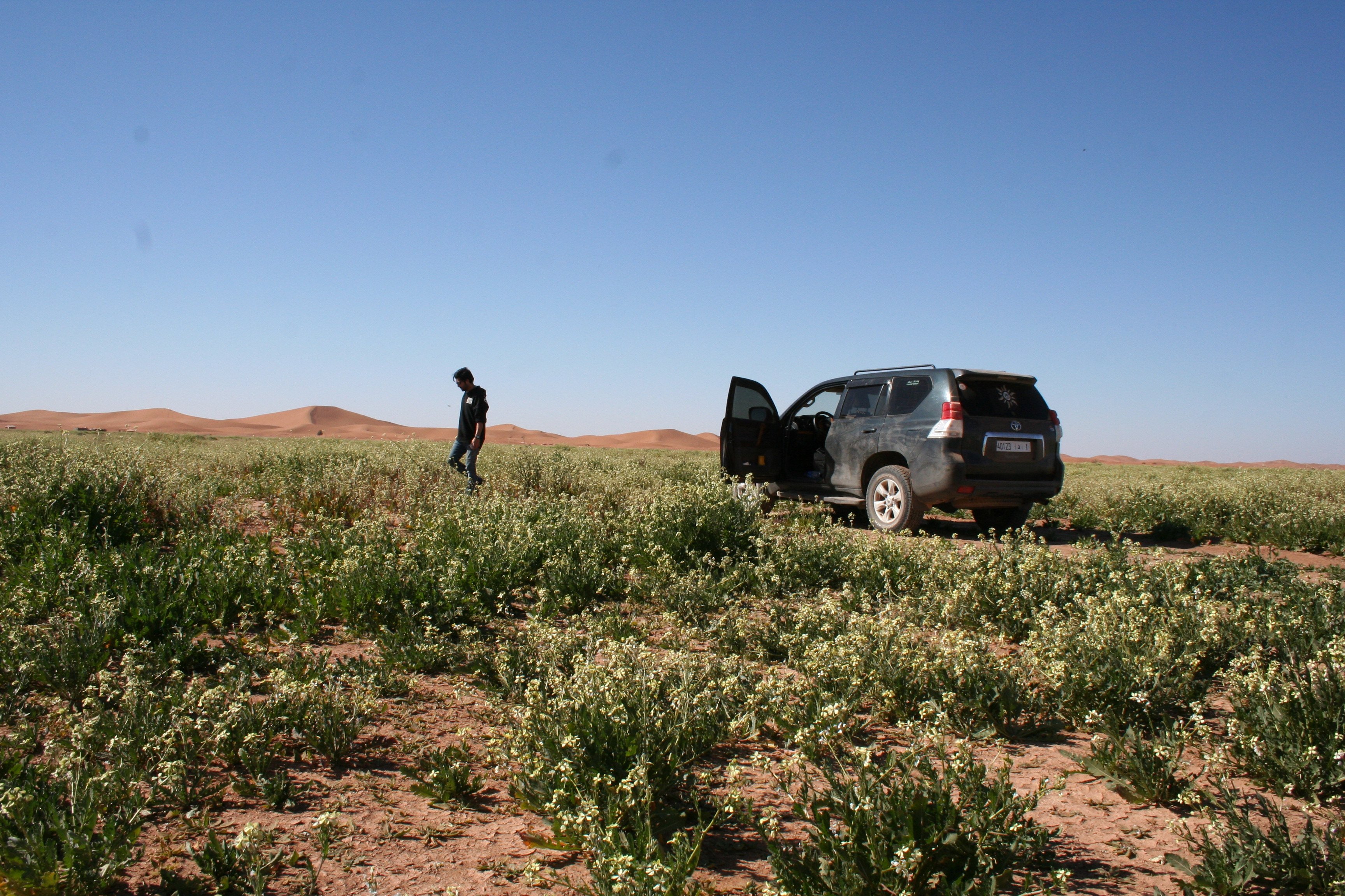 Au départ d'Agadir 4 jours 3 nuits Circuit Sahara à Marrakeche - Photo 1