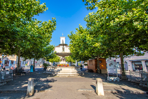 Geneva: Guided City and Carouge Tour