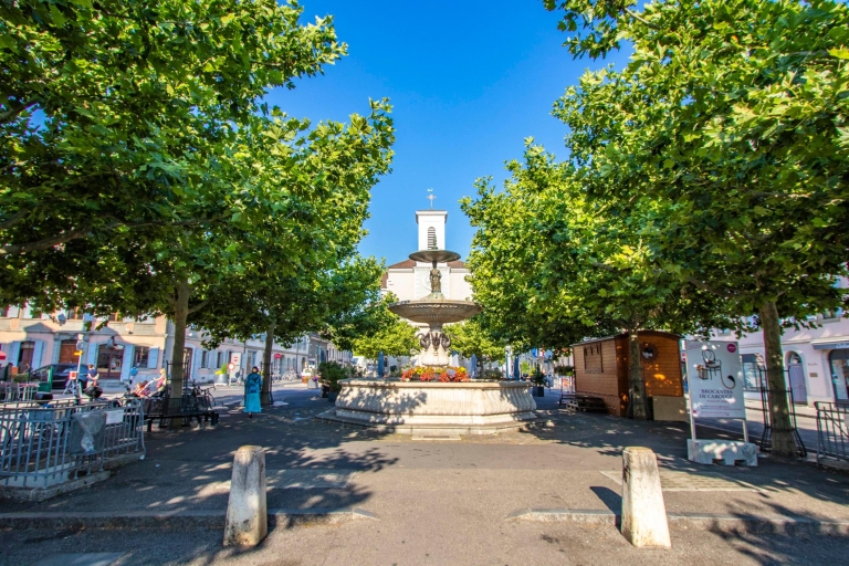 Geneva: Guided City and Carouge Tour