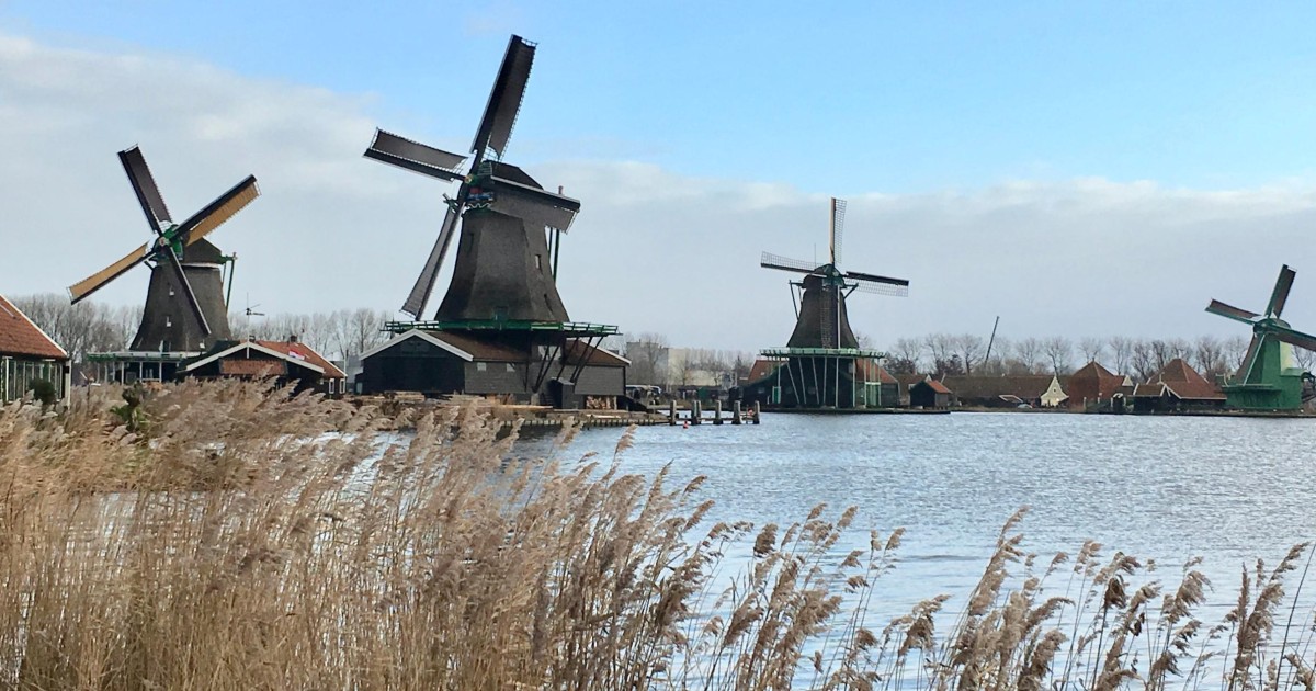 amsterdam bike tour windmills