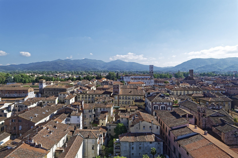 Dal porto di Livorno: Trasferimento in autobus per Pisa e LuccaOpzione classica: trasferimento + passeggiata con un locale a Lucca