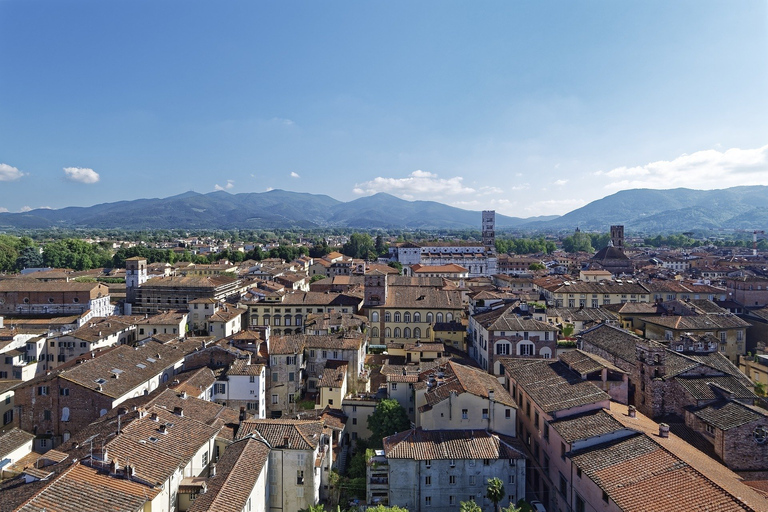 Vanaf Livorno (cruisehaven): busvervoer naar Pisa en LuccaVervoer met rondwandeling in Lucca