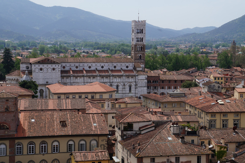 From Livorno Cruise Port: Bus Transfer to Pisa and Lucca Transfer with Walking Tour in Lucca