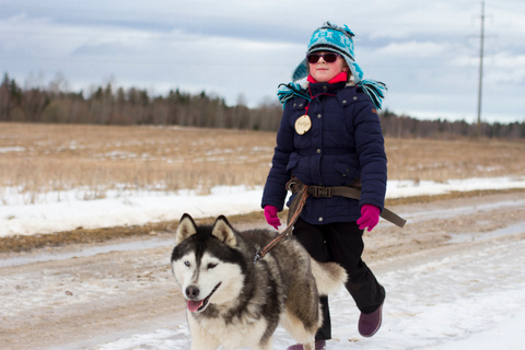 Vanuit Tallinn: Husky Park Tour met Cani-Cross Wandeling