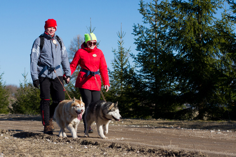 From Tallinn: Husky Park Tour with Cani-Cross Hike