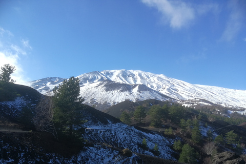 De Taormina: caminhada matinal de meio dia no Monte Etna