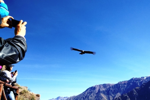 Puno: 2-Day Colca Canyon Tour to Arequipa Tour with Entrance and Meals