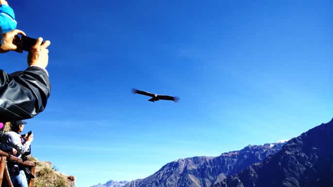 puno visite de 2 jours du canyon du colca à arequipa