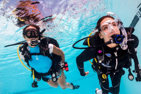 Mauricio: aventura de buceo de 3 horas en la costa esteMauricio: aventura de buceo de 3 horas en la costa oeste