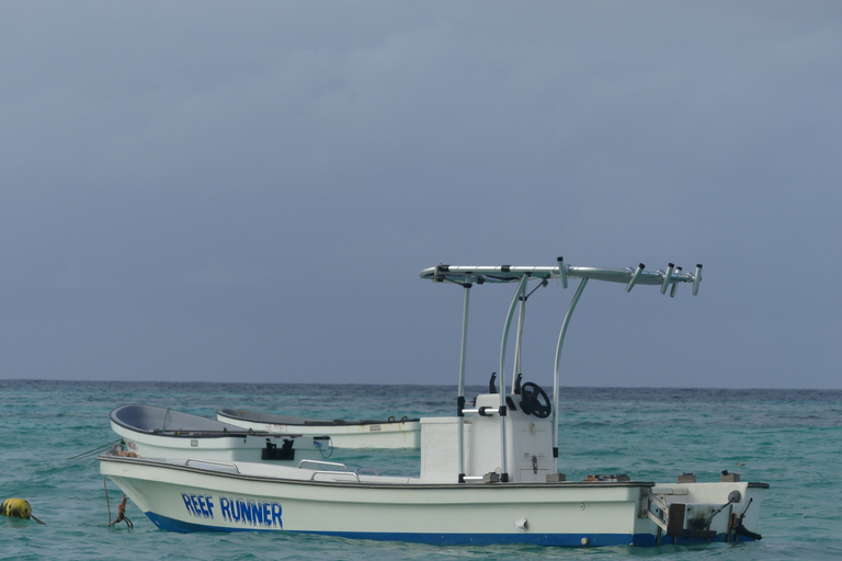 Zanzibar : parc national de Jozani et rencontre des dauphins