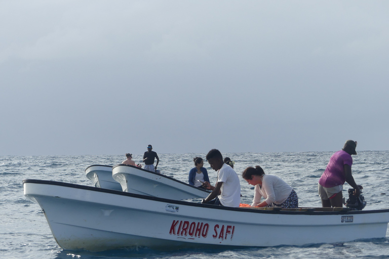 Zanzibar : parc national de Jozani et rencontre des dauphins