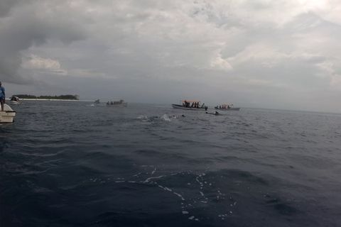 Zanzibar : parc national de Jozani et rencontre des dauphins