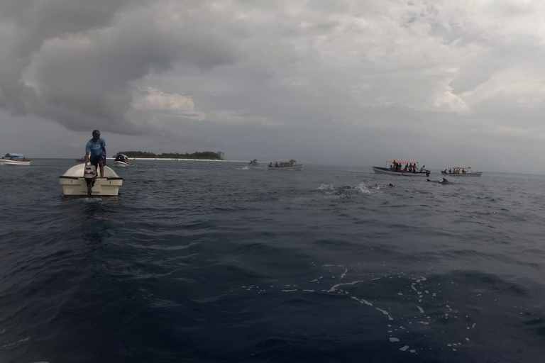 Zanzibar : parc national de Jozani et rencontre des dauphins