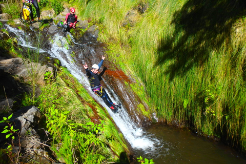 Madeira: Nivå-1 kanjonäventyrMadeira: Level-1 Canyoning Adventure