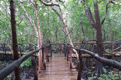 Zanzíbar: parque nacional del bosque de Jozani y encuentro con delfines