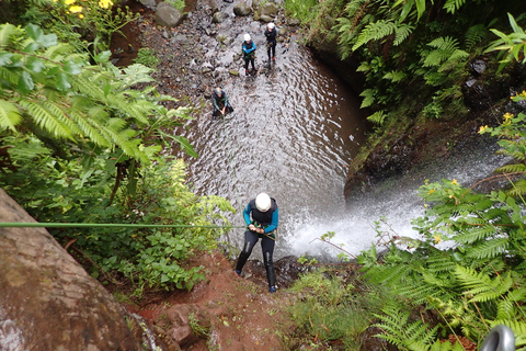 Madeira: Nivå-1 kanjonäventyrMadeira: Level-1 Canyoning Adventure