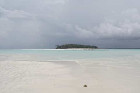 Zanzibar: Mnemba Atoll Marine Reserve Snorkeling Tour