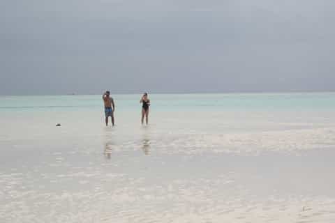 Zanzibar: Mnemba Atoll Marine Reserve Snorkeling Tour
