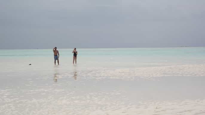 zanzibar mnemba atoll marine reserve snorkeling tour