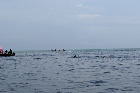 Riserva Marina dell'Atollo di Mnemba: tour con snorkeling